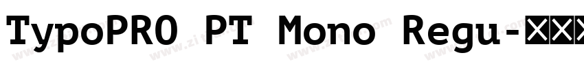 TypoPRO PT Mono Regu字体转换